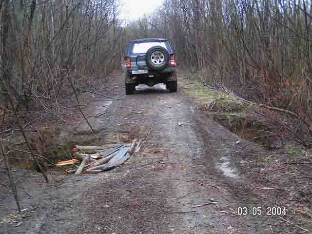 PICT1530.jpg (32283 bytes)