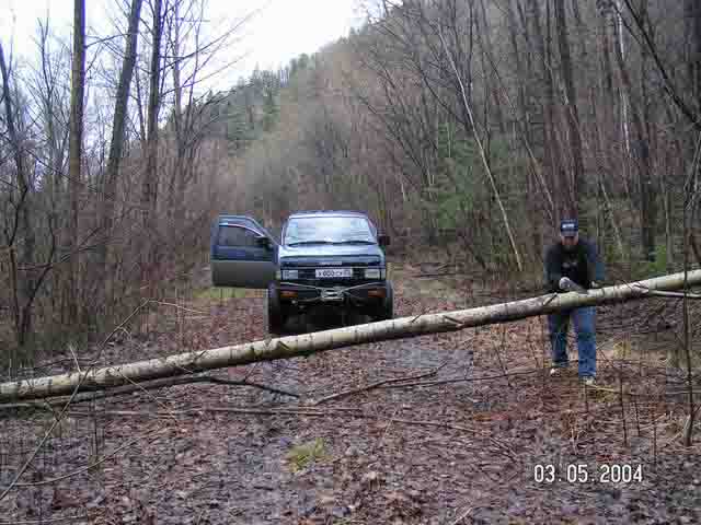 PICT1533.jpg (33764 bytes)