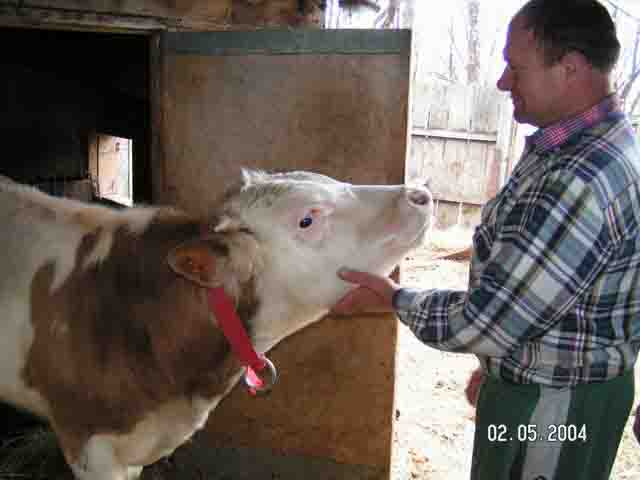 PICT1537.jpg (18098 bytes)